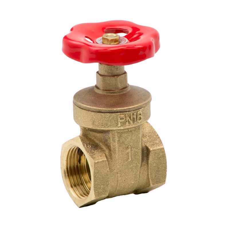 VALVULA COMPUERTA GOMA 11/4" 